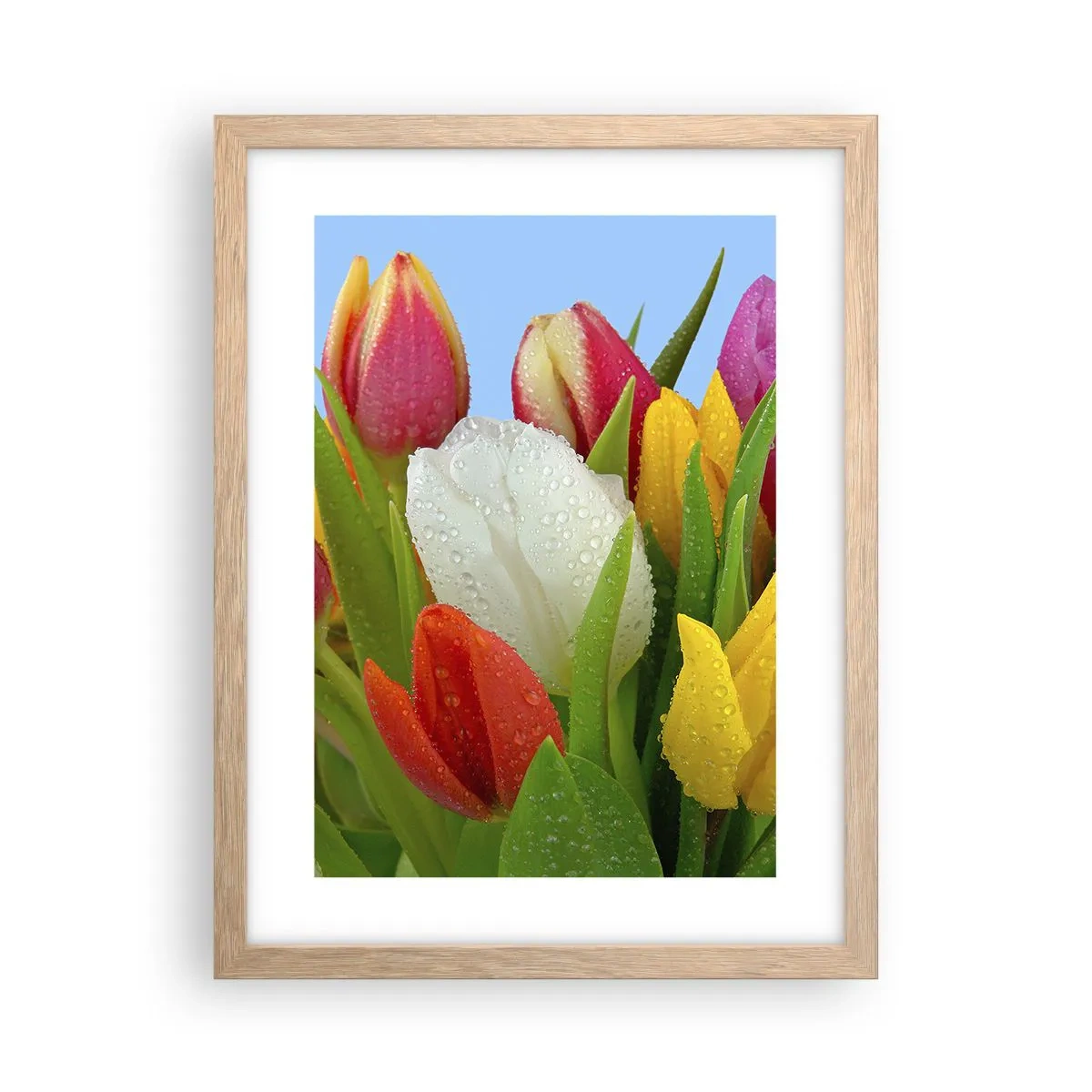 Een poster in een licht eiken lijst - Een bloemenregenboog in dauwdruppels - 30x40 cm