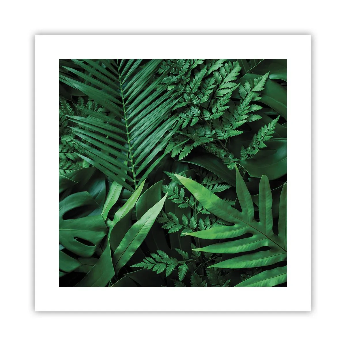 Poster - Ineengedoken in het groen - 40x40 cm