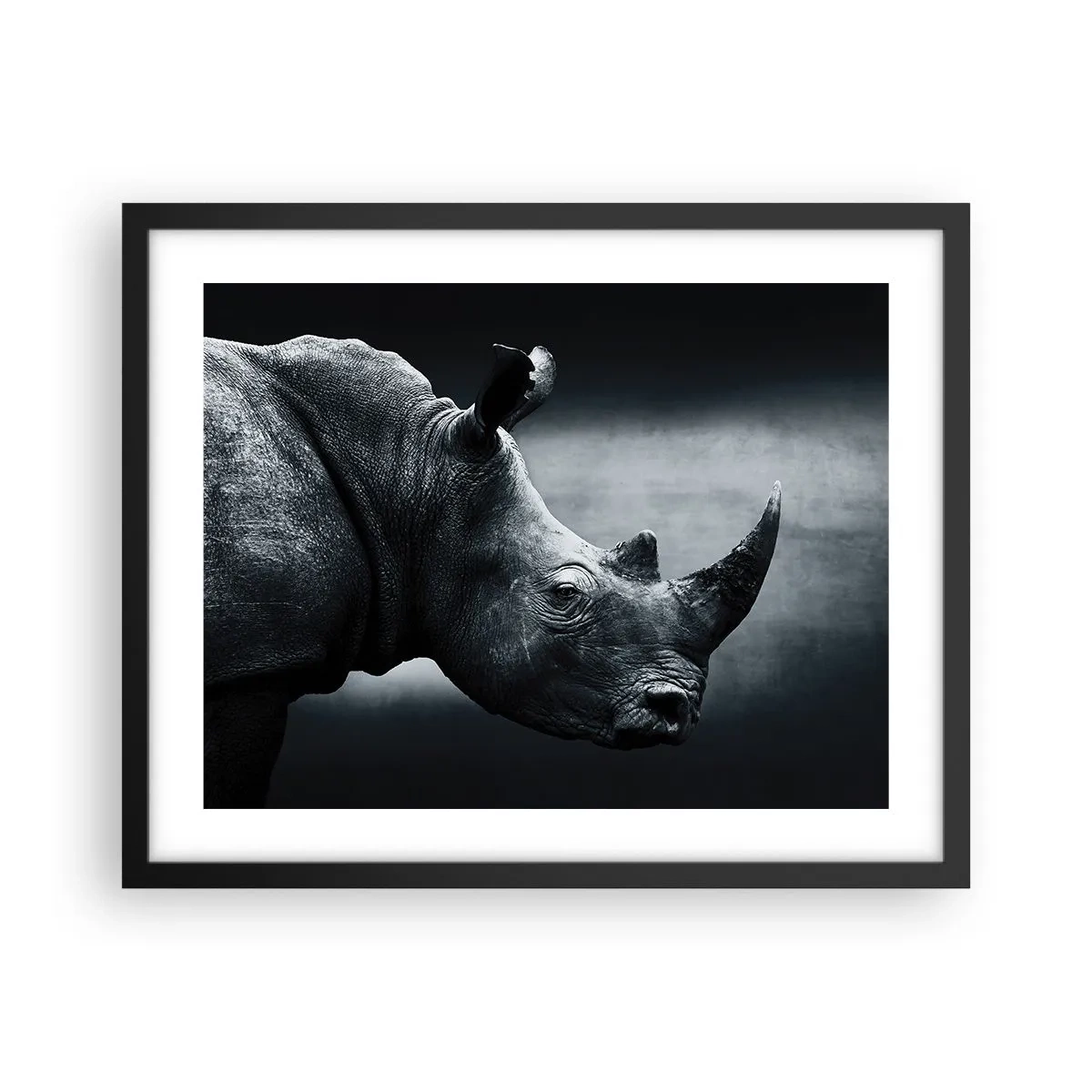 Poster in een zwarte lijst - Rechts profiel - 50x40 cm
