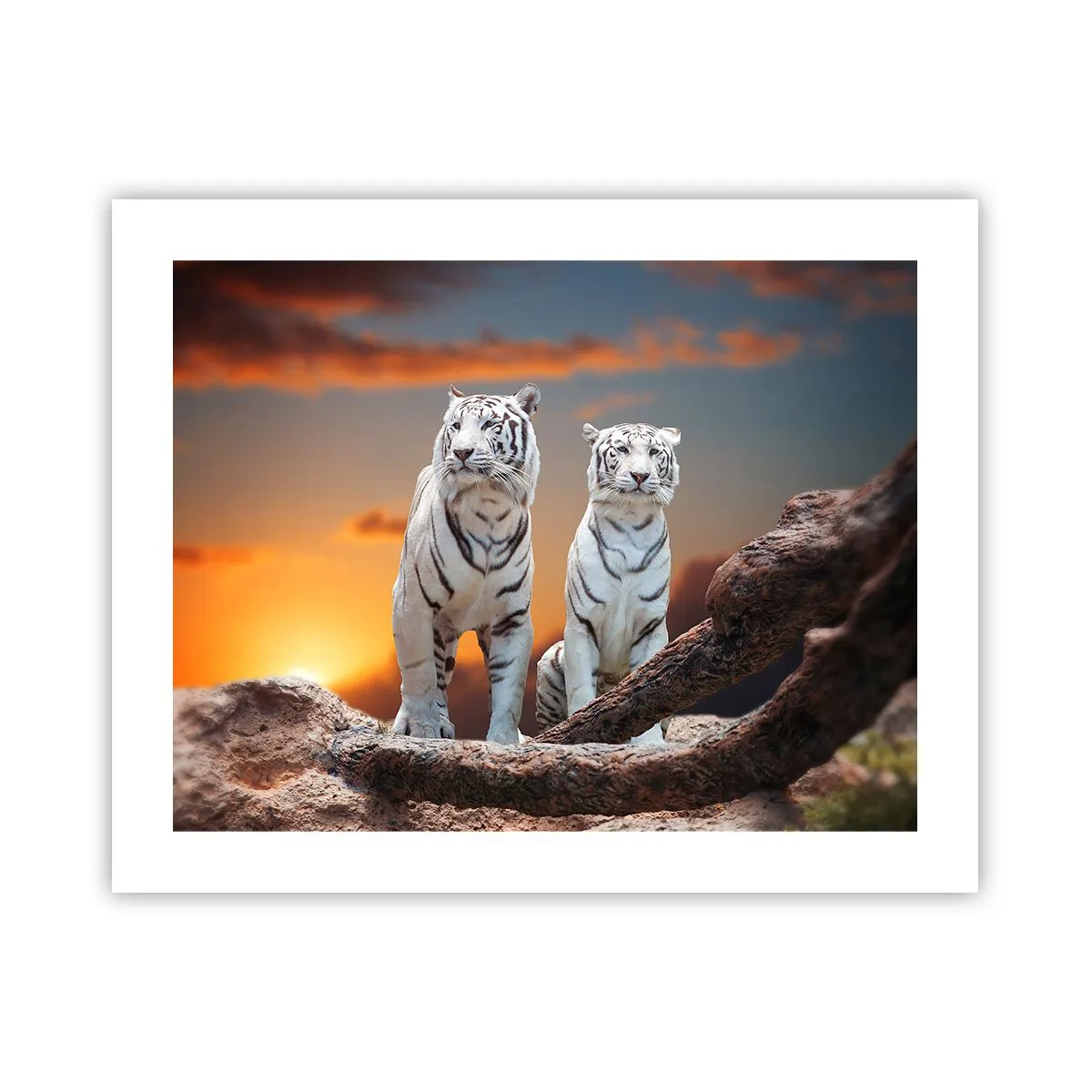 Poster - Net als in Narnia - 50x40 cm