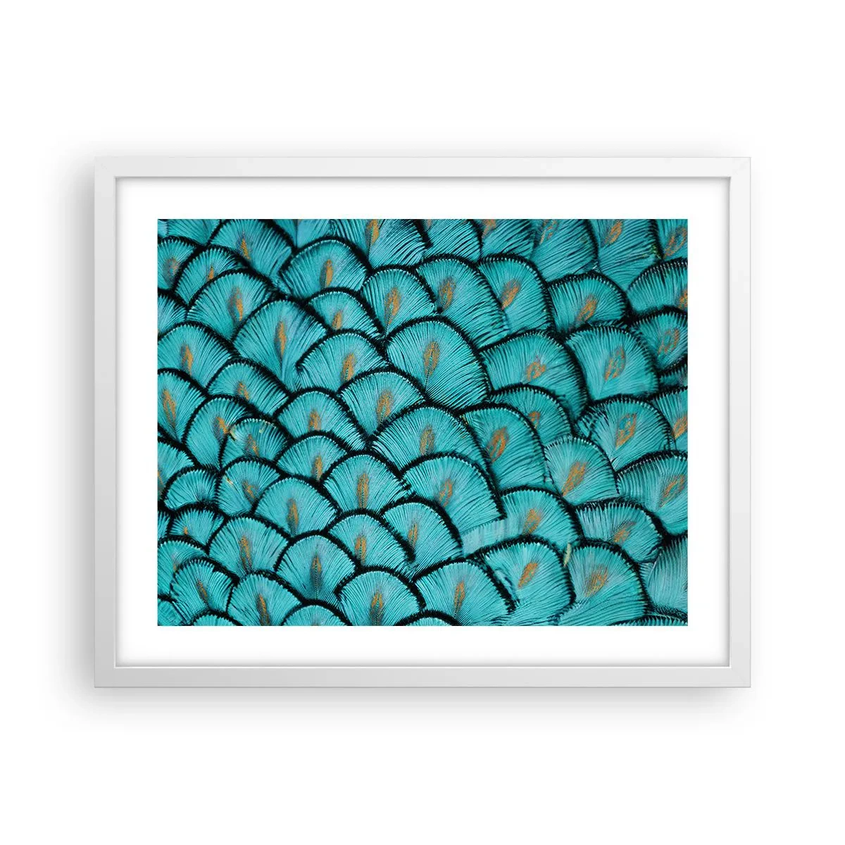 Poster in een witte lijst - Het grote verengala - 50x40 cm