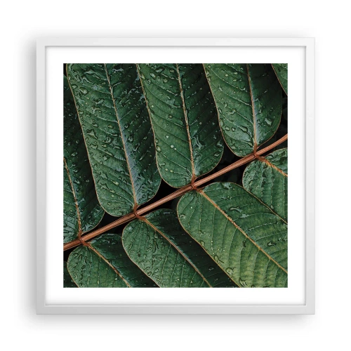 Poster in een witte lijst - In een groen ritme - 50x50 cm
