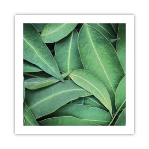 Poster - Sappig en fris - 50x50 cm