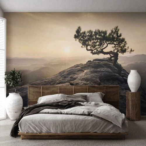 Fotobehang Premium Canvas - Het leven wint altijd - Berglandschap, Pijnboom, Bergen - 400x280 cm