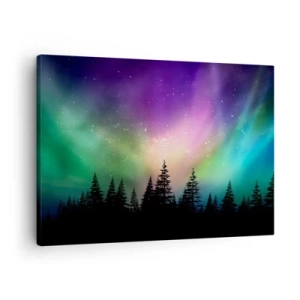 Schilderen op canvas - Aurora Borealis boven een bos met een sterrenhemel - 70x50cm - Witte magie - Moderne wanddecoratie voor woonkamer en slaapkamer ARTTOR