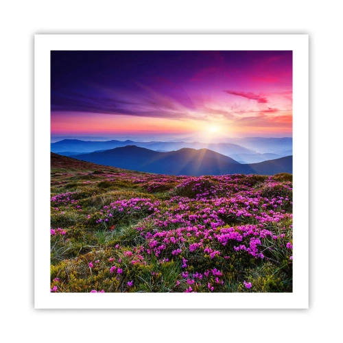 Poster - Kruiden roken naar verse trossen van de velden - 60x60 cm