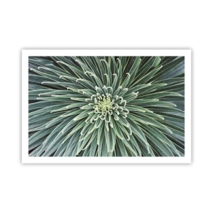 Poster - Een ster is geboren - 91x61 cm