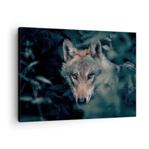 Schilderen op canvas - Een wolf in zijn natuurlijke omgeving, kijkend vanuit de diepte van het bos. - 70x50cm - Jager - Moderne wanddecoratie voor woonkamer en slaapkamer ARTTOR