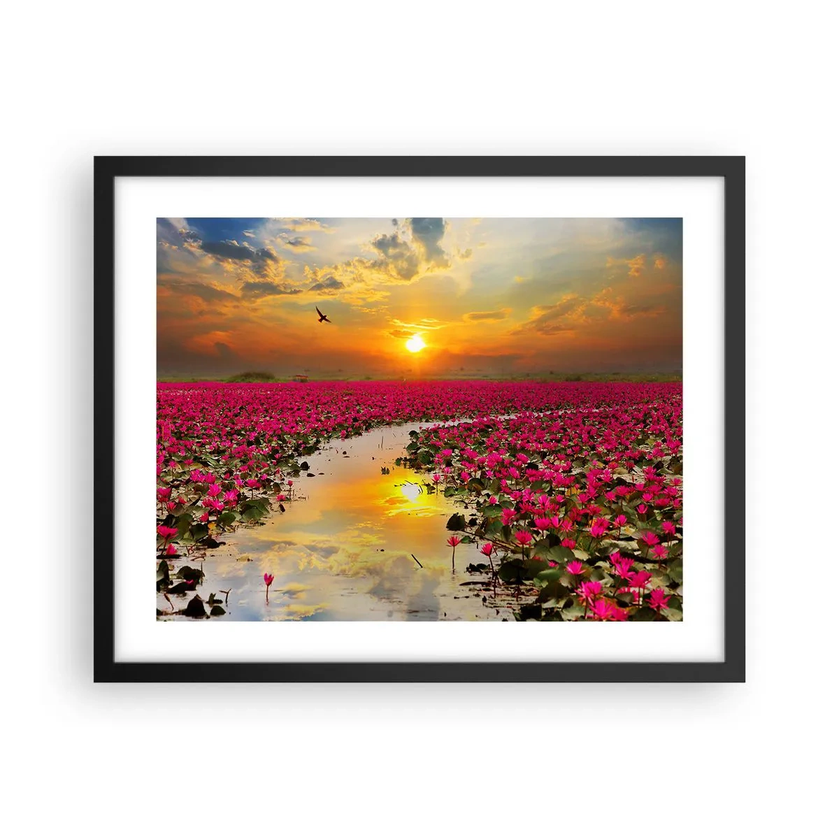 Poster in een zwarte lijst - Het geheime leven van het meer - 50x40 cm