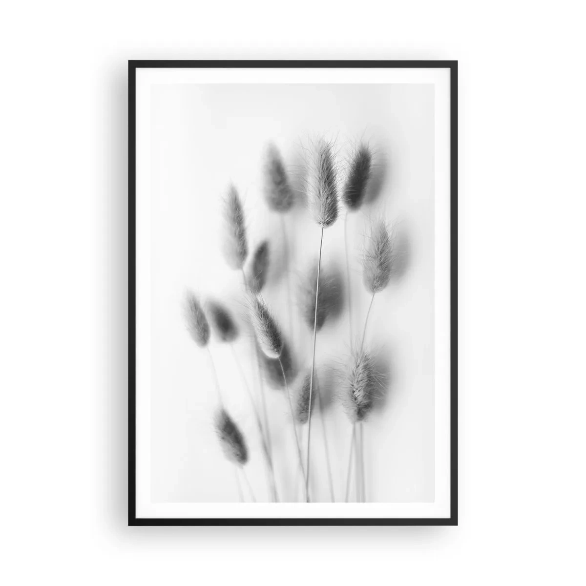 Poster in een zwarte lijst - Haar luchtigheid gras - 70x100 cm