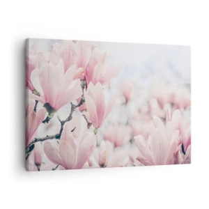 Schilderen op canvas - Subtiele magnoliabloemen in delicate roze tinten - 70x50cm - Het ideaal van subtiliteit - Moderne wanddecoratie voor woonkamer en slaapkamer ARTTOR