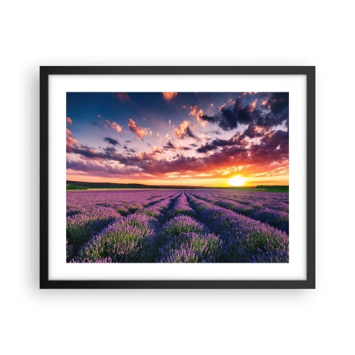 Poster in een zwarte lijst - Lavendel wereld - 50x40 cm