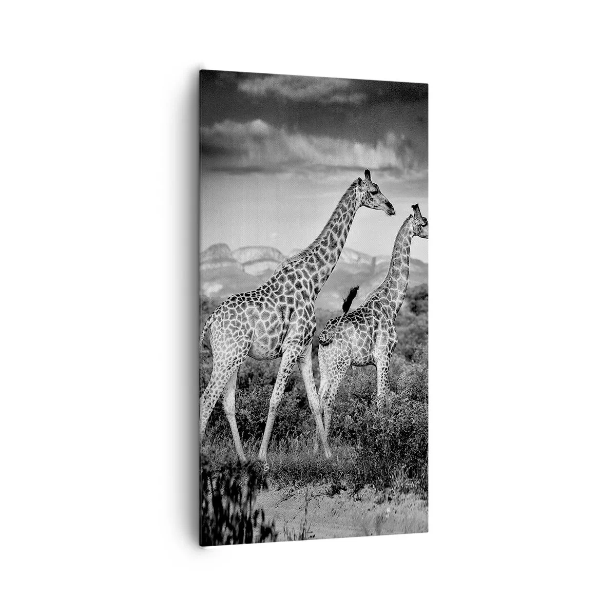 Schilderen op canvas - Hoge sferen in Afrika - 65x120 cm