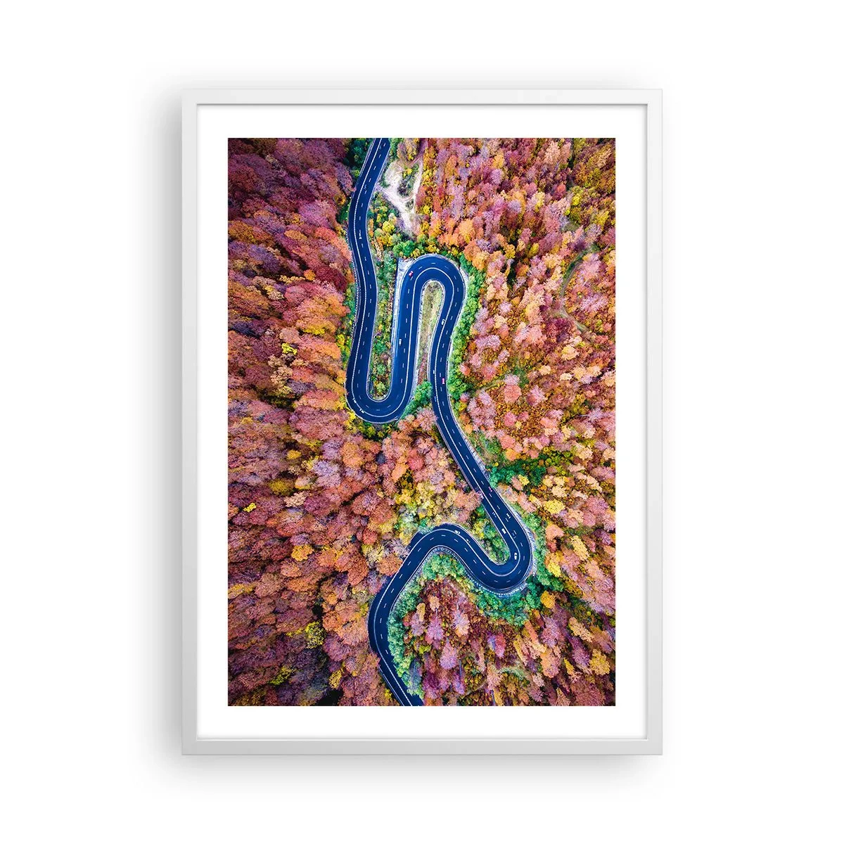 Poster in een witte lijst - Een kronkelende weg door het bos - 50x70 cm