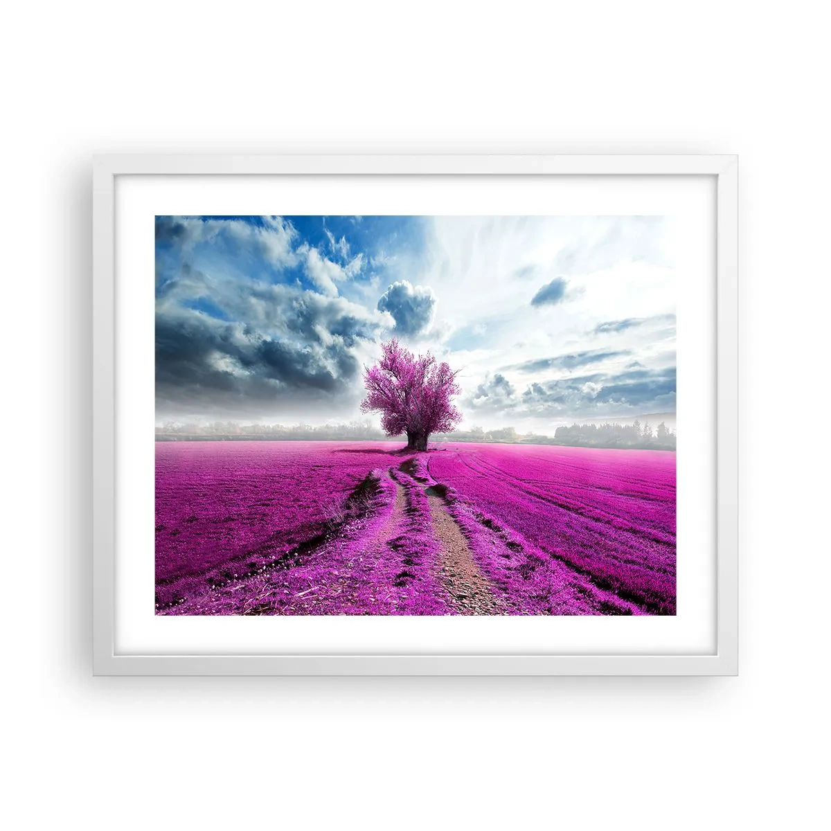 Poster in een witte lijst - Heide - heilige plek - 50x40 cm