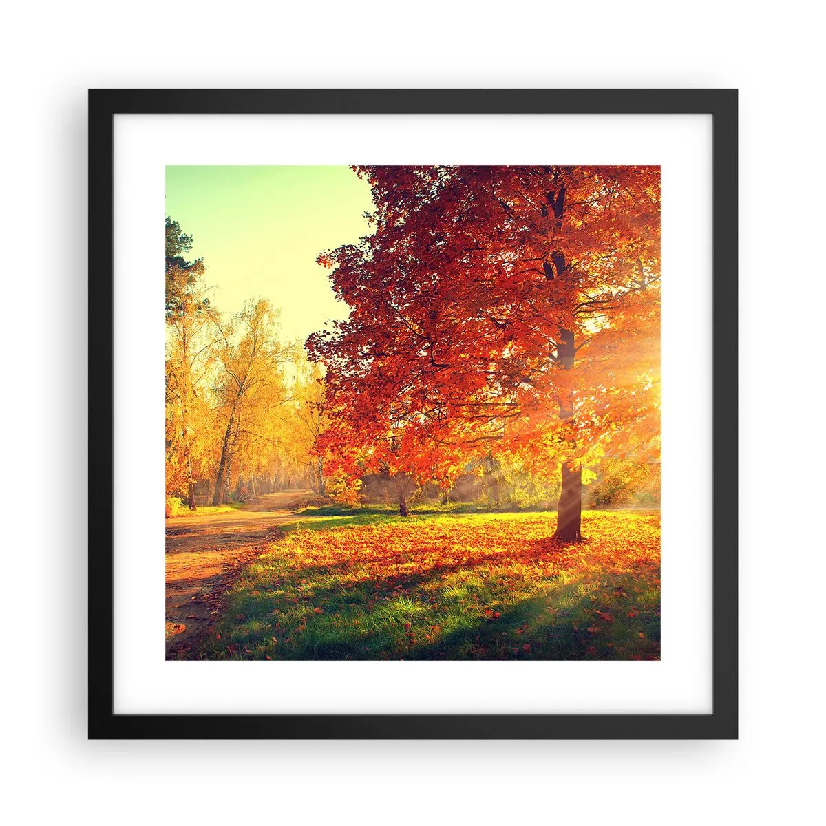 Poster in een zwarte lijst - Rood is mooi - 40x40 cm