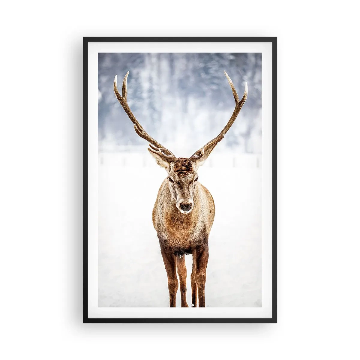 Poster in een zwarte lijst - Recht uit de sneeuwmist - 61x91 cm