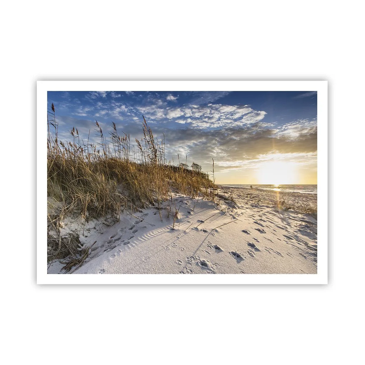 Poster - Een uitnodiging voor een wandeling - 100x70 cm