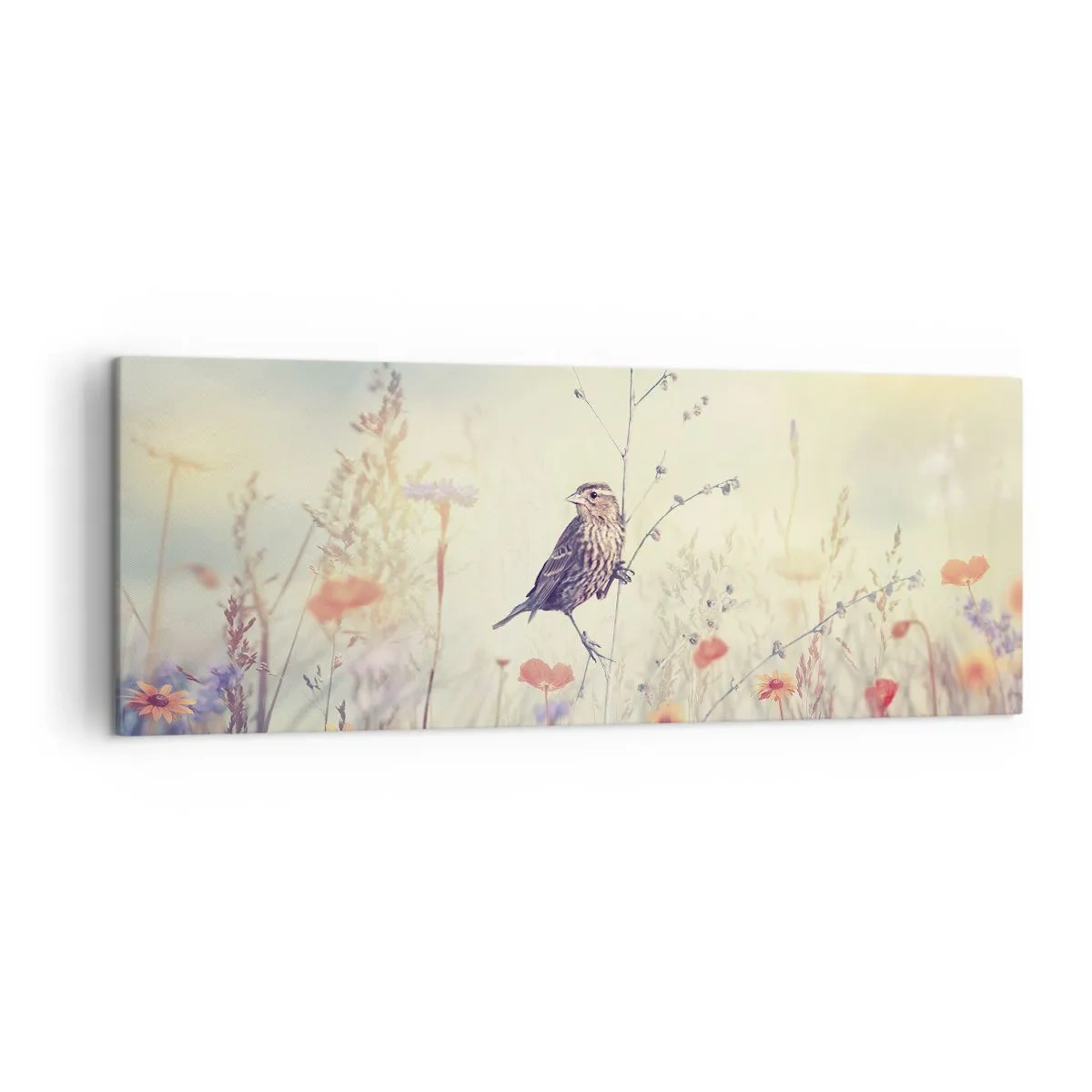 Schilderen op canvas - Vogelportret met een weiland op de achtergrond - 140x50 cm