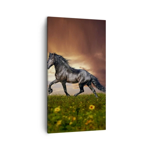 Schilderen op canvas - Zwarte Prins - 45x80 cm