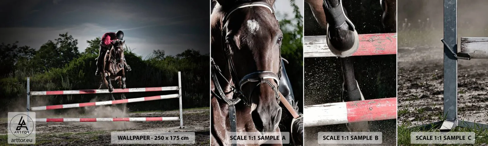 Fotobehang Staaltje Standard Eco - Samen naar de overwinning - Dieren, Paard, Sport - 100x30 cm