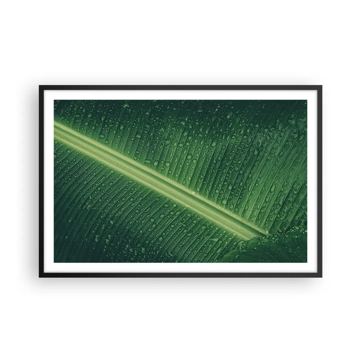 Poster in een zwarte lijst - De structuur van groen - 91x61 cm