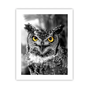 Poster - Niets zal zich verbergen - 40x50 cm