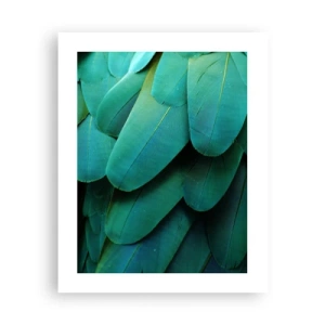 Poster - Papegaaiachtige precisie - 40x50 cm