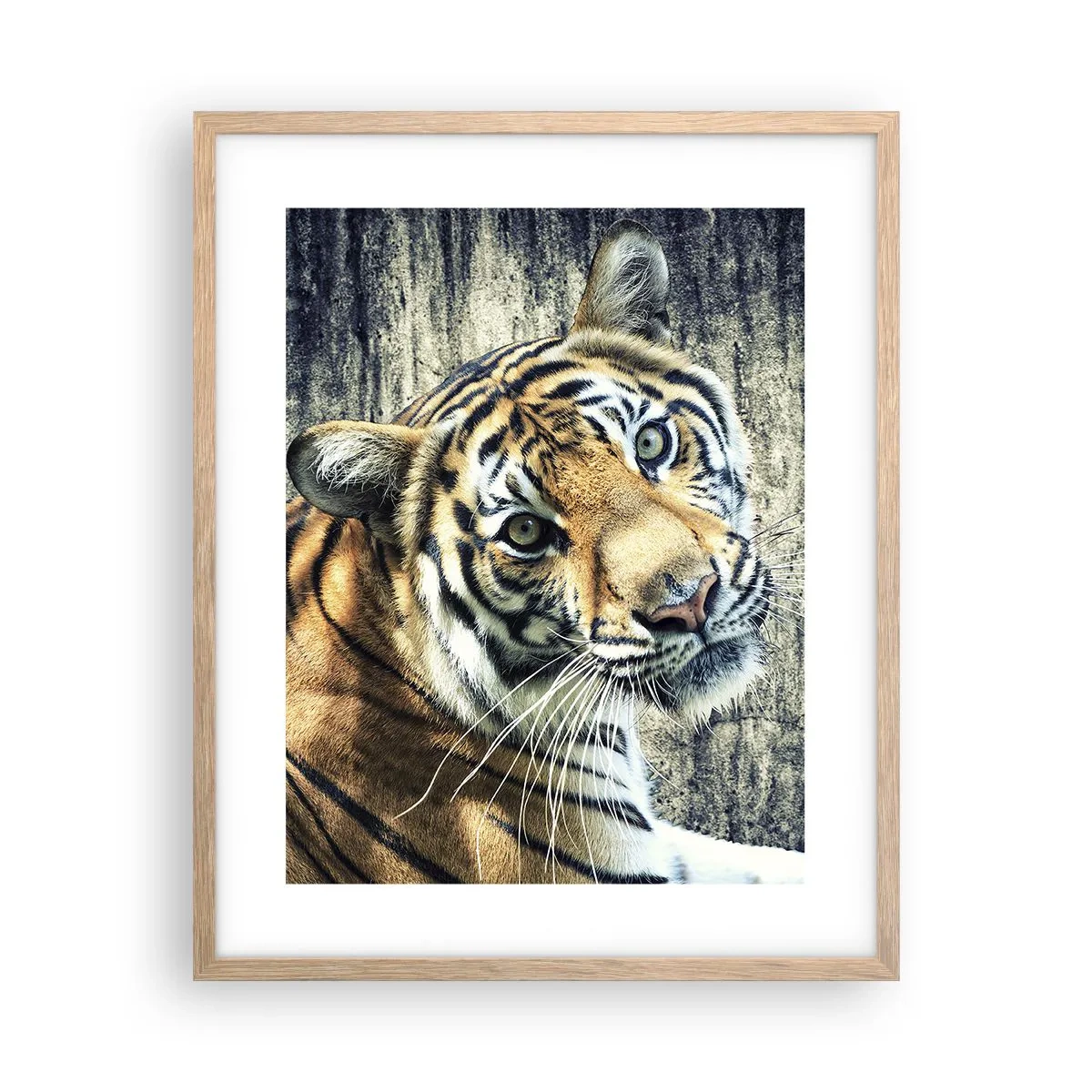 Een poster in een licht eiken lijst - Portret in stromen van licht - 40x50 cm