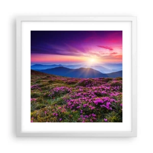 Poster in een witte lijst - Kruiden roken naar verse trossen van de velden - 40x40 cm