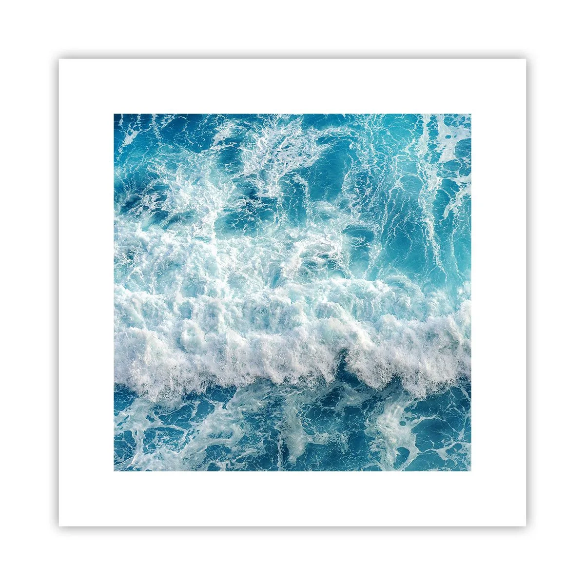 Poster - Vrolijk en springend - 30x30 cm