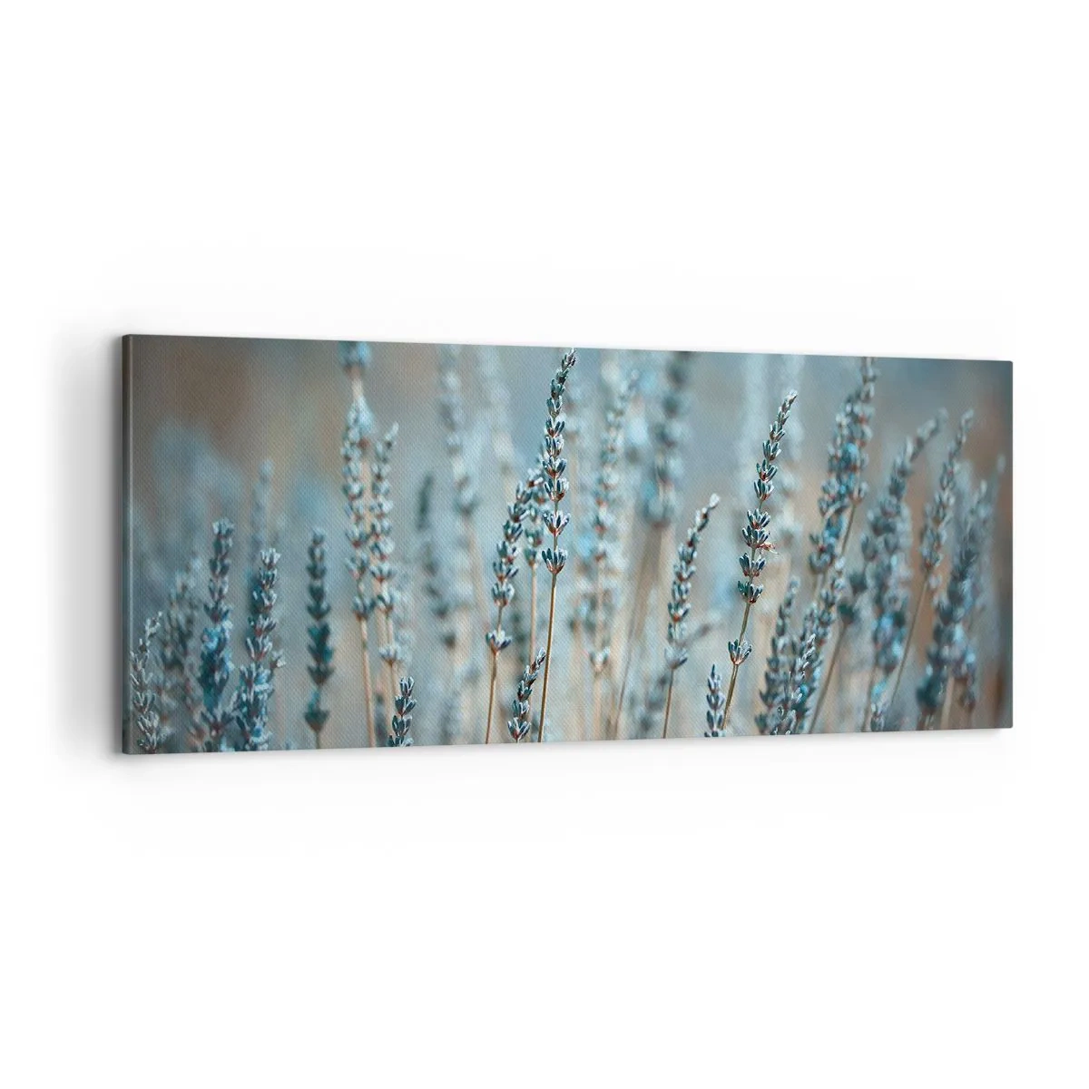 Schilderen op canvas - Geurig korenveld - 100x40 cm