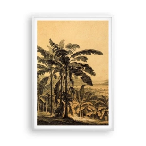 Poster in een witte lijst - in een koloniaal klimaat - 70x100 cm