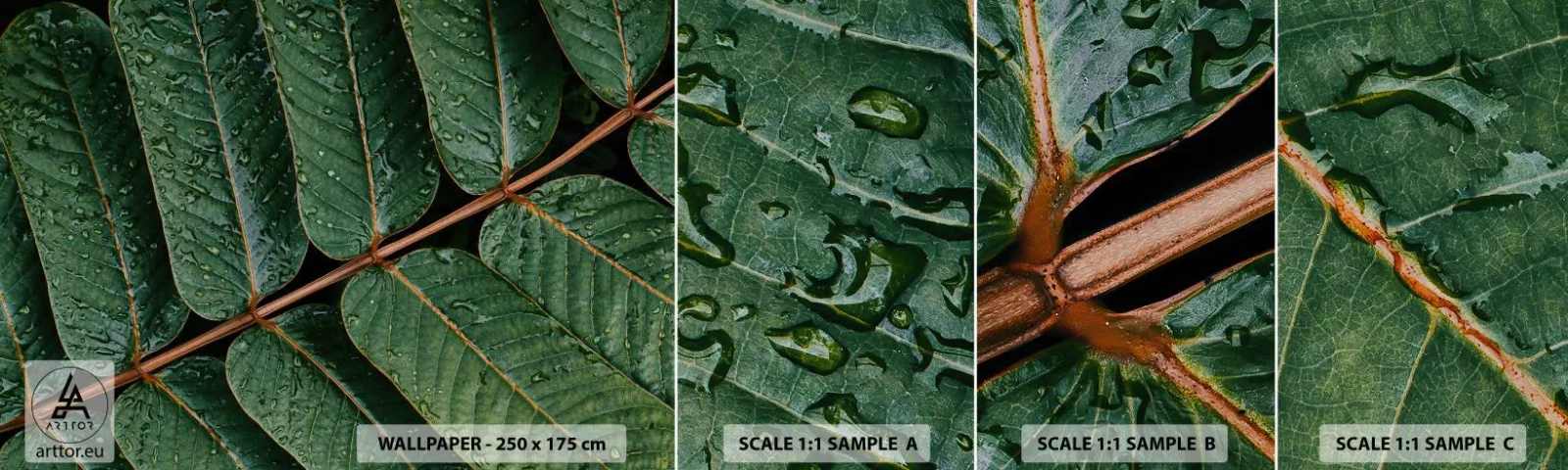 Fotobehang Monster Zelfklevend Deluxe Sticker - In een groen ritme - Groene bladeren, Tropische plant, Deel - 100x30 cm