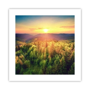 Poster - Hoekpunten en topjes - 40x40 cm