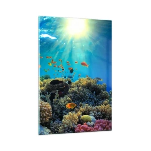 Schilderen op glas - Onderwater schatten - 80x120 cm