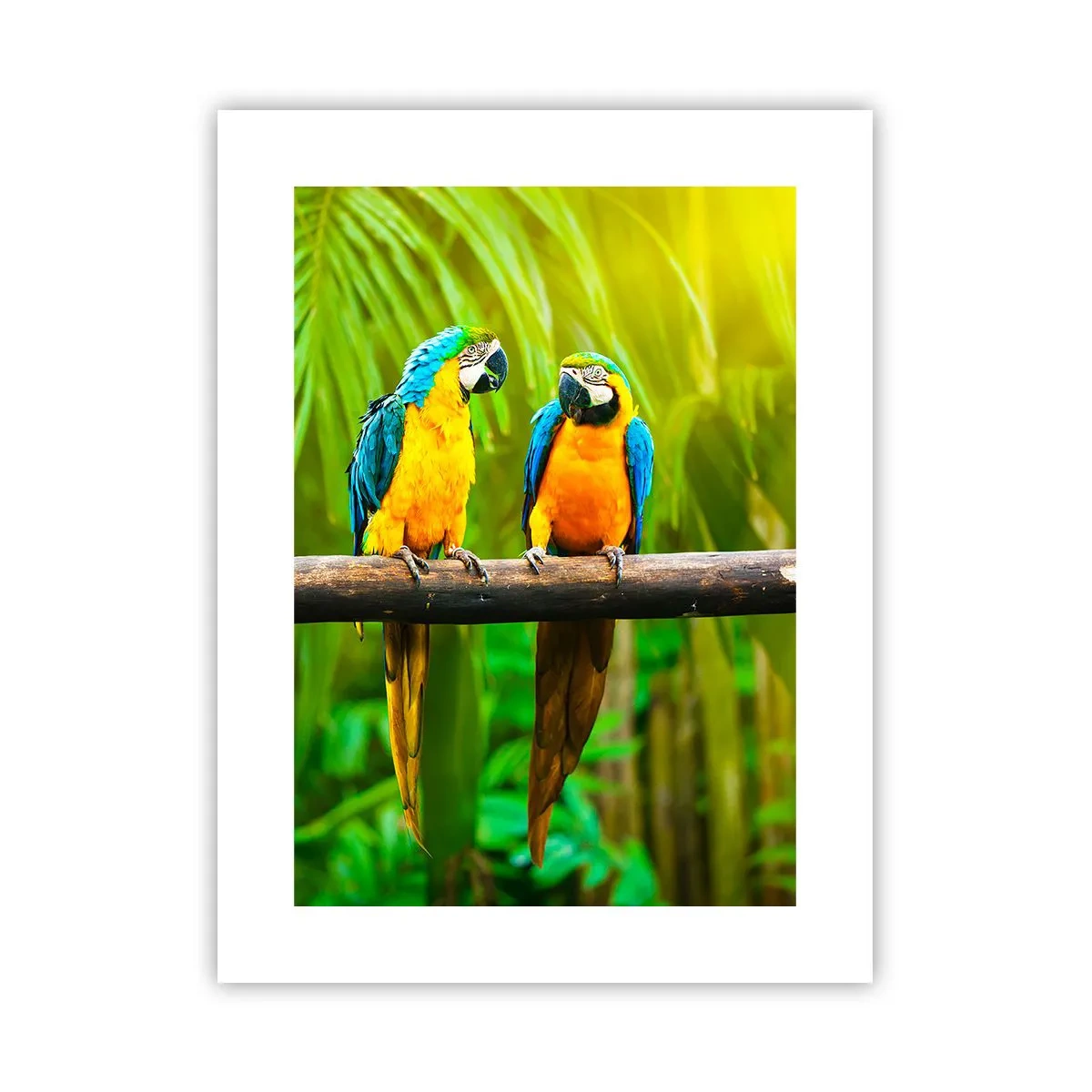 Poster - En heb je gehoord dat ze...? - 30x40 cm