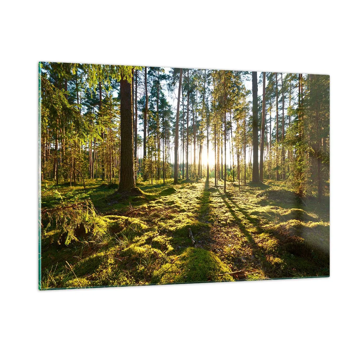 Schilderen op glas - … Achter de zeven bossen - 120x80 cm