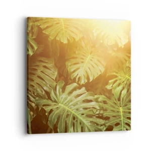 Schilderen op canvas - In het groen treden... - 40x40 cm