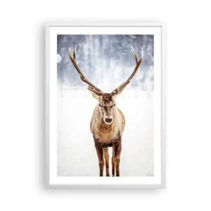 Poster in een witte lijst - Recht uit de sneeuwmist - 50x70 cm