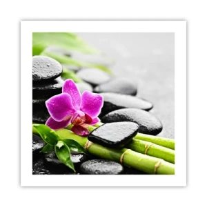 Poster - In een vrede evenwicht - 50x50 cm