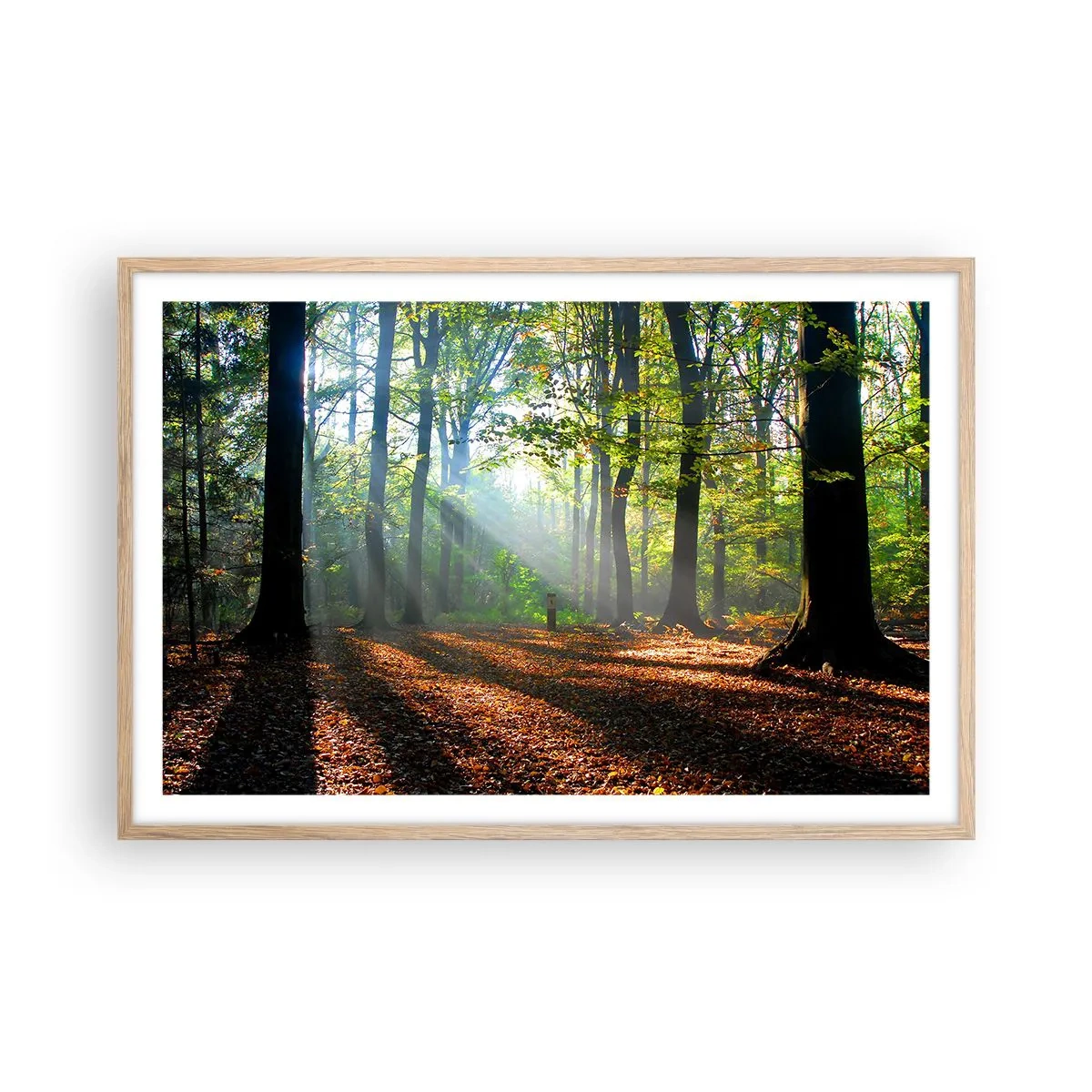 Een poster in een licht eiken lijst - Lichten en schaduwen - 91x61 cm