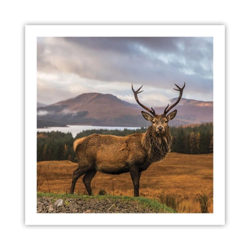 Poster - De majesteit van de natuur - 60x60 cm