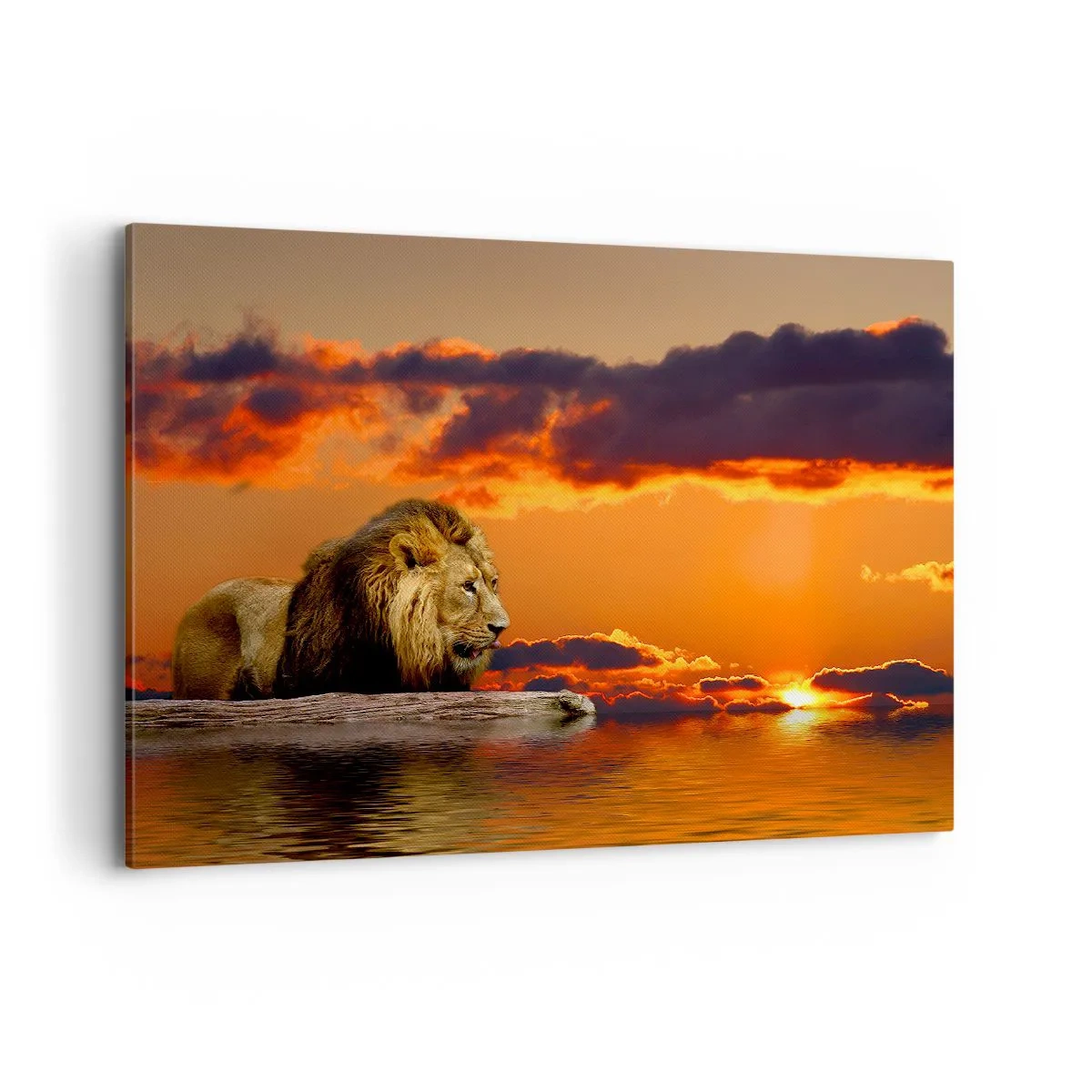 Schilderen op canvas - Koning van de natuur - 120x80 cm