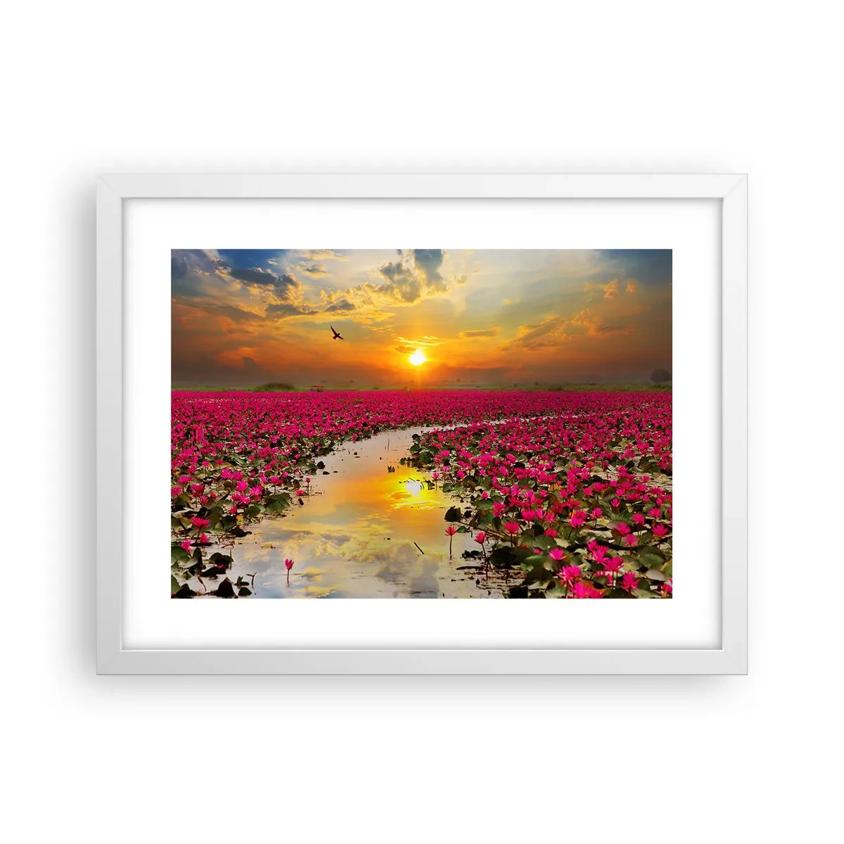 Poster in een witte lijst - Het geheime leven van het meer - 40x30 cm