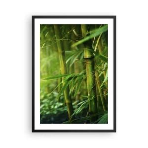 Poster in een zwarte lijst - Een bamboebos in tinten groen - 50x70cm - Maak kennis met groen zelf - Moderne wanddecoratie voor woonkamer en slaapkamer ARTTOR