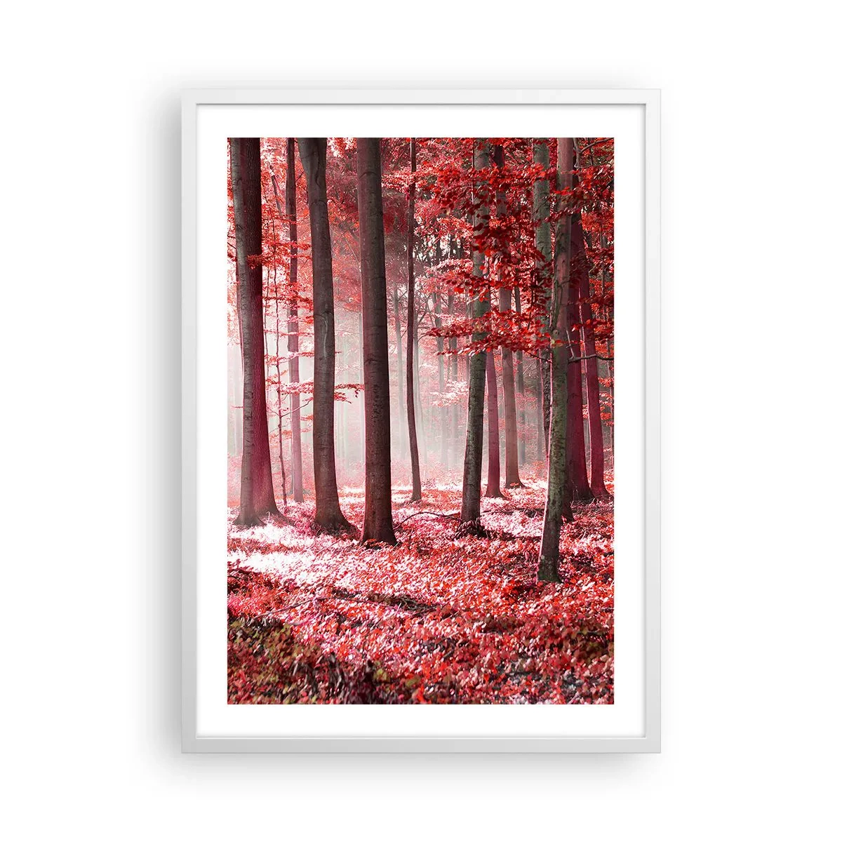 Poster in een witte lijst - Rood is net zo mooi - 50x70 cm