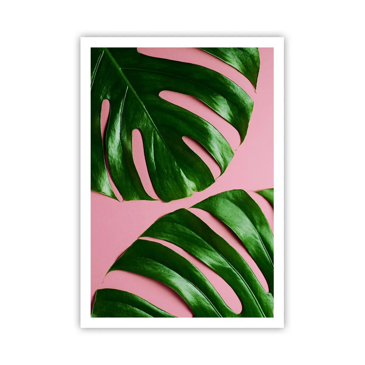 Poster - Groene rendez-vous - 70x100 cm
