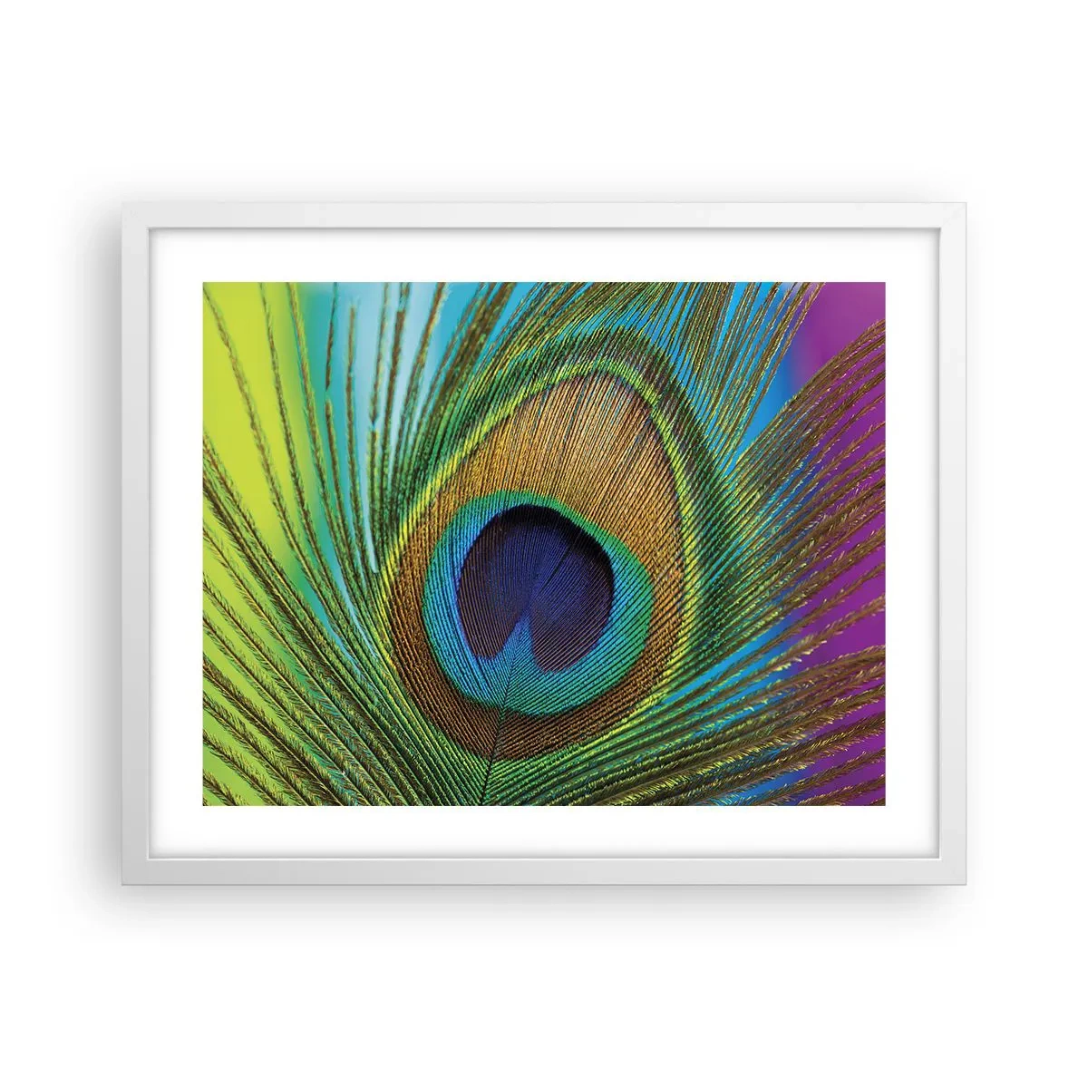 Poster in een witte lijst - Oog in oog - 50x40 cm