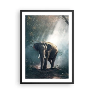 Poster in een zwarte lijst - Een olifant die zich koestert in de zon in een dicht bos - 50x70cm - Een ontspannen wandeling - Moderne wanddecoratie voor woonkamer en slaapkamer ARTTOR